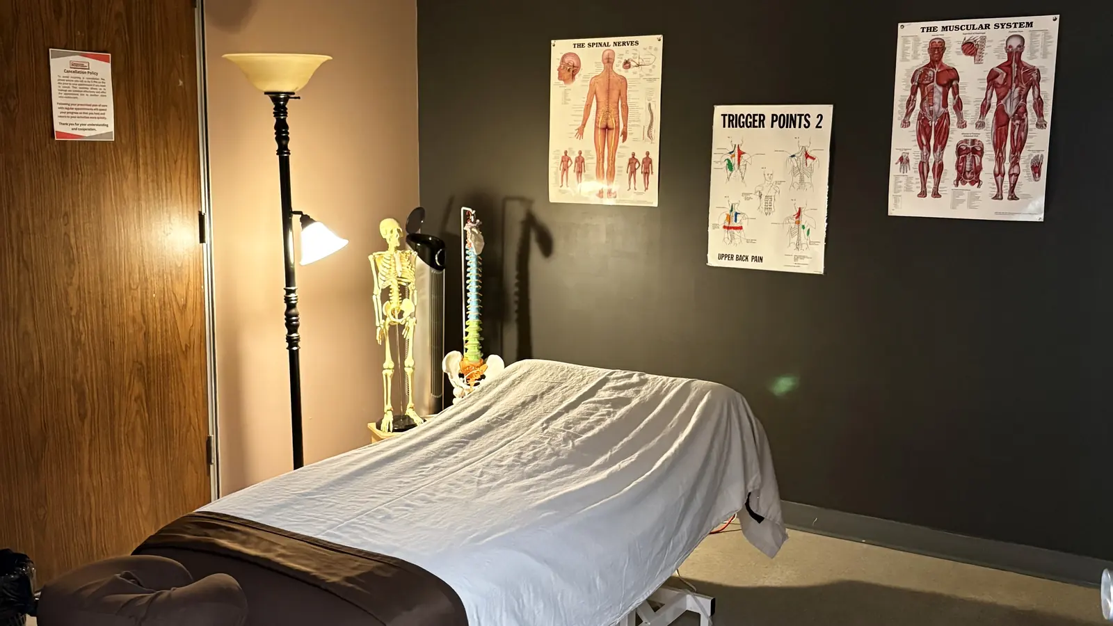 Treatment room with anatomy charts at Coronation Physiotherapy